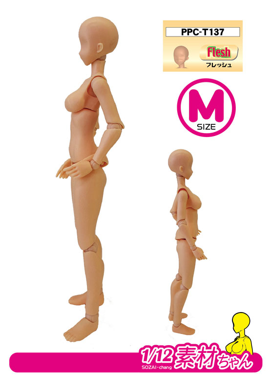 PPC-T137 �����̾� ���� �ݷ��� ������EX 1/12 ����»M ������ [12���԰��Ϸ�] [4534966004728]