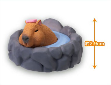 [�����߼�] ���� �Կ��� ������ ������(1�������߼�) [12���԰��Ϸ�] [4570198778310]