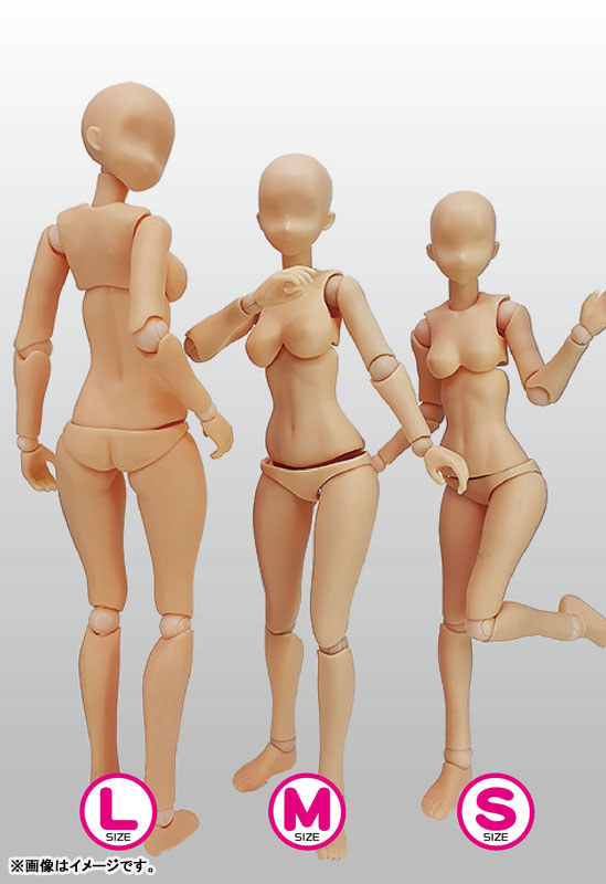 PPC-T137 �����̾� ���� �ݷ��� ������EX 1/12 ����»M ������ [12���԰��Ϸ�] [4534966004728]