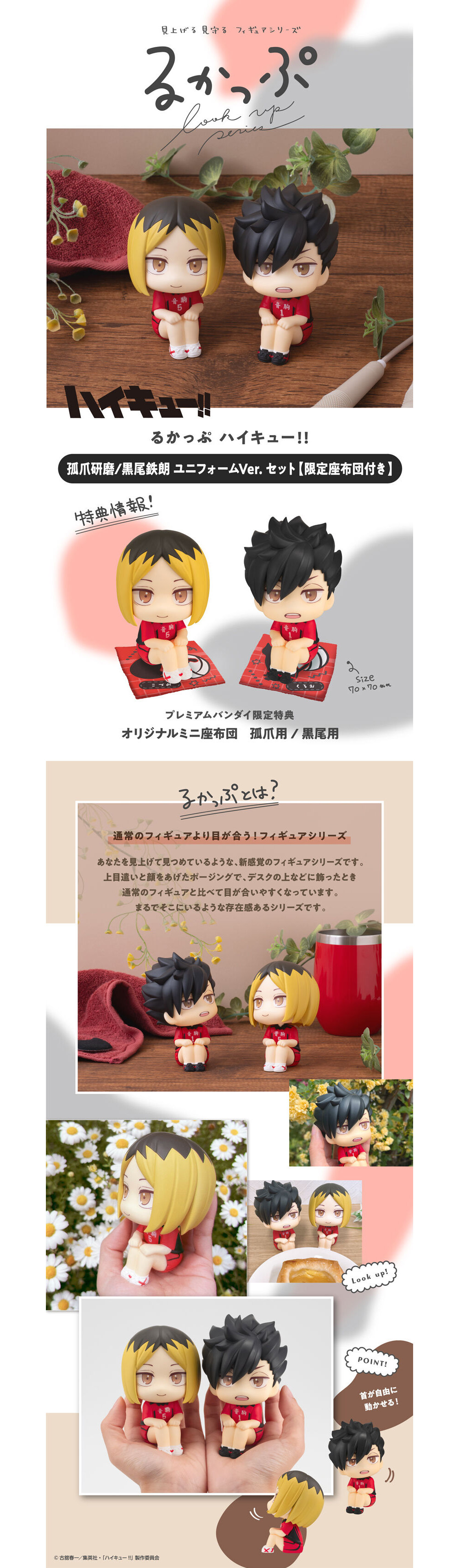 [Ư������] [���] ����ť - ����� �˸�/���ο� ������ ���������� ��Ʈ [12���԰��Ϸ�] [4535123840661]