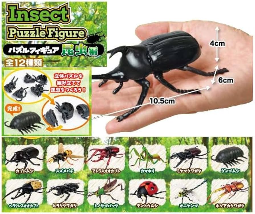 ���� �ǱԾ� ������(1�ڽ�12����) [12���԰��Ϸ�] [4589469834310] 