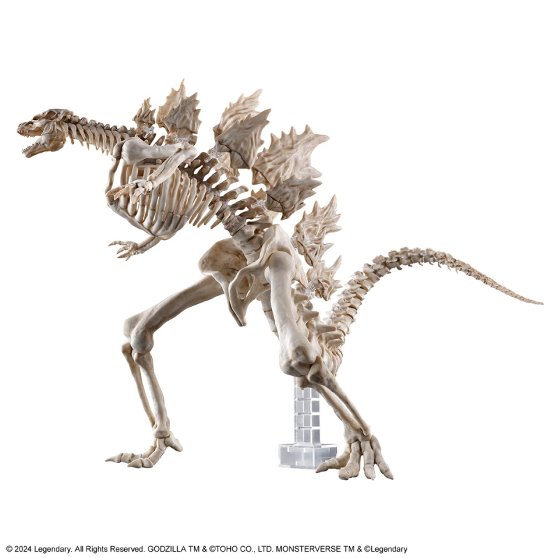 ������x�� �� �����̾� - ������(2024) [12���԰��Ϸ�] [4573102674401]