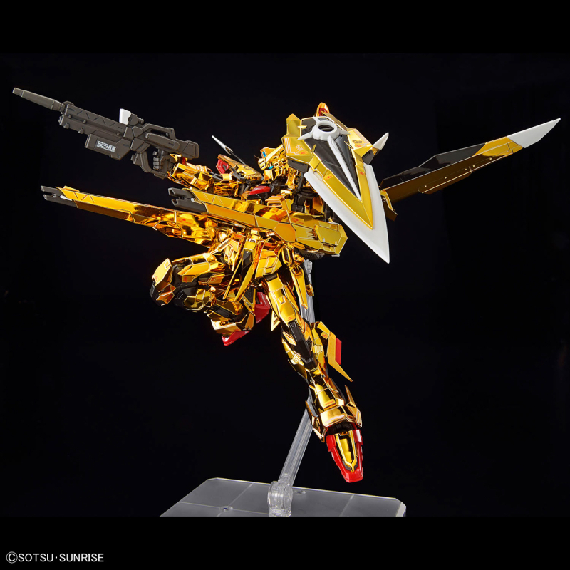 [RG] 1/144 ��ī��Ű �Ǵ�(�����ͽ� ���) [12���԰��Ϸ�] [4573102673961]
