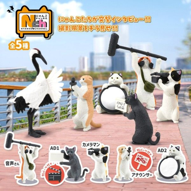 ����ä��(1�ڽ�10����) [12���԰��Ϸ�] [4570198775661]