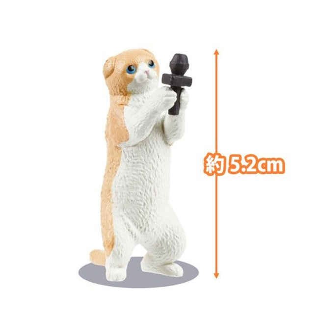 ����ä��(1�ڽ�10����) [12���԰��Ϸ�] [4570198775661]