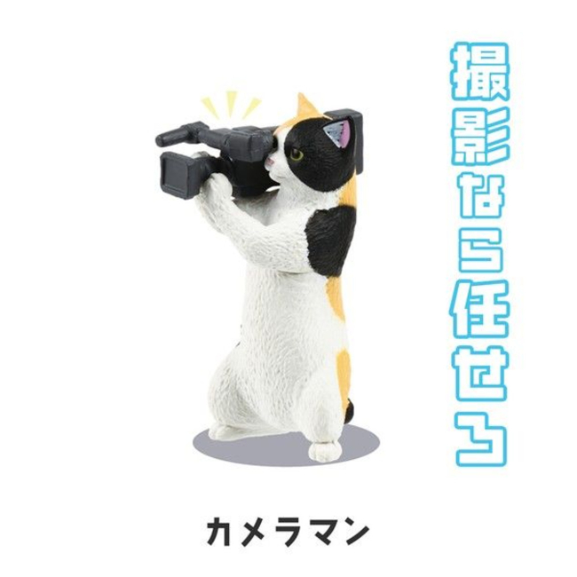 ����ä��(1�ڽ�10����) [12���԰��Ϸ�] [4570198775661]