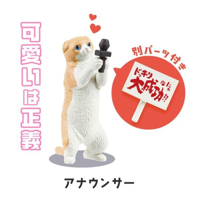 ����ä��(1�ڽ�10����) [12���԰��Ϸ�] [4570198775661]