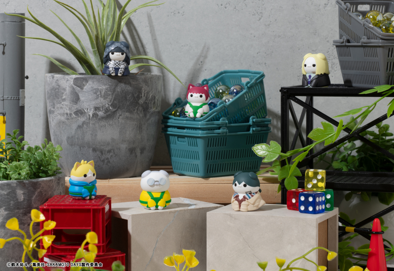 �ް� Ĺ ������Ʈ ��ī���� ������ ����� ������ ��ī���� �����(1�ڽ�8����) [7���԰��Ϸ�] [4535123843075]