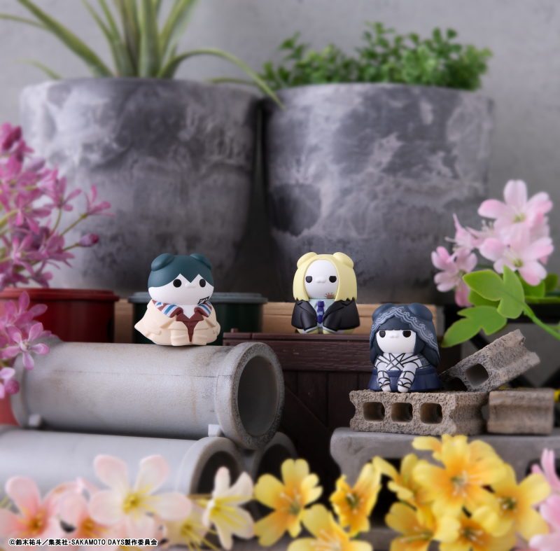 �ް� Ĺ ������Ʈ ��ī���� ������ ����� ������ ��ī���� �����(1�ڽ�8����) [7���԰��Ϸ�] [4535123843075]