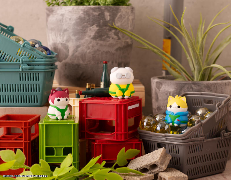 �ް� Ĺ ������Ʈ ��ī���� ������ ����� ������ ��ī���� �����(1�ڽ�8����) [7���԰��Ϸ�] [4535123843075]