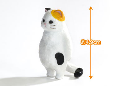 �㹫(1�ڽ�10����) [2���԰��Ϸ�] [4570198778433]