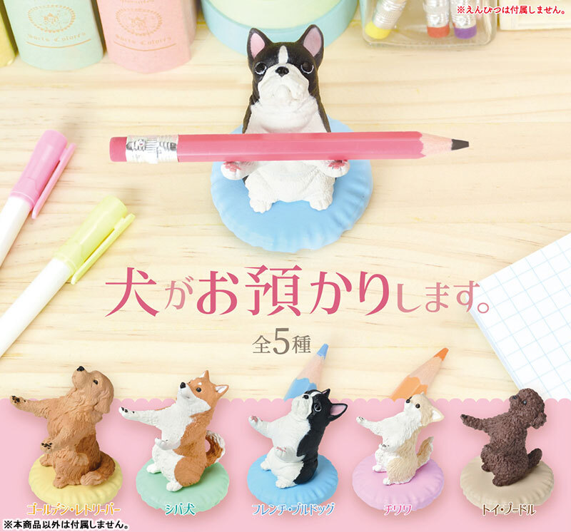 ���� �þ� �帳�ϴ�(1�ڽ�10����) [2���԰��Ϸ�] [4589469849116]