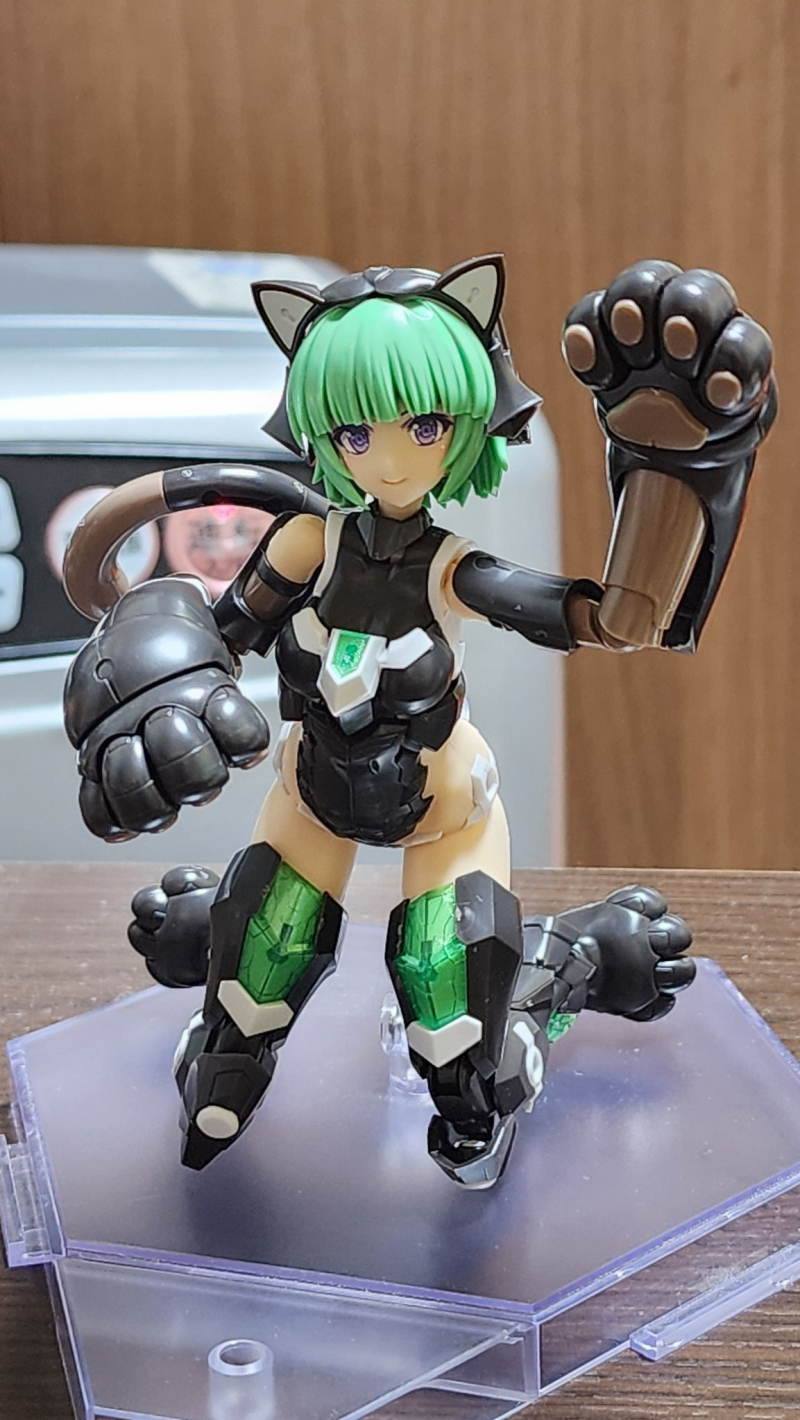 [�����Ӿ����] ������Ű Ĺ �Ƹ� ���� [2���԰��Ϸ�] [4934054059911]