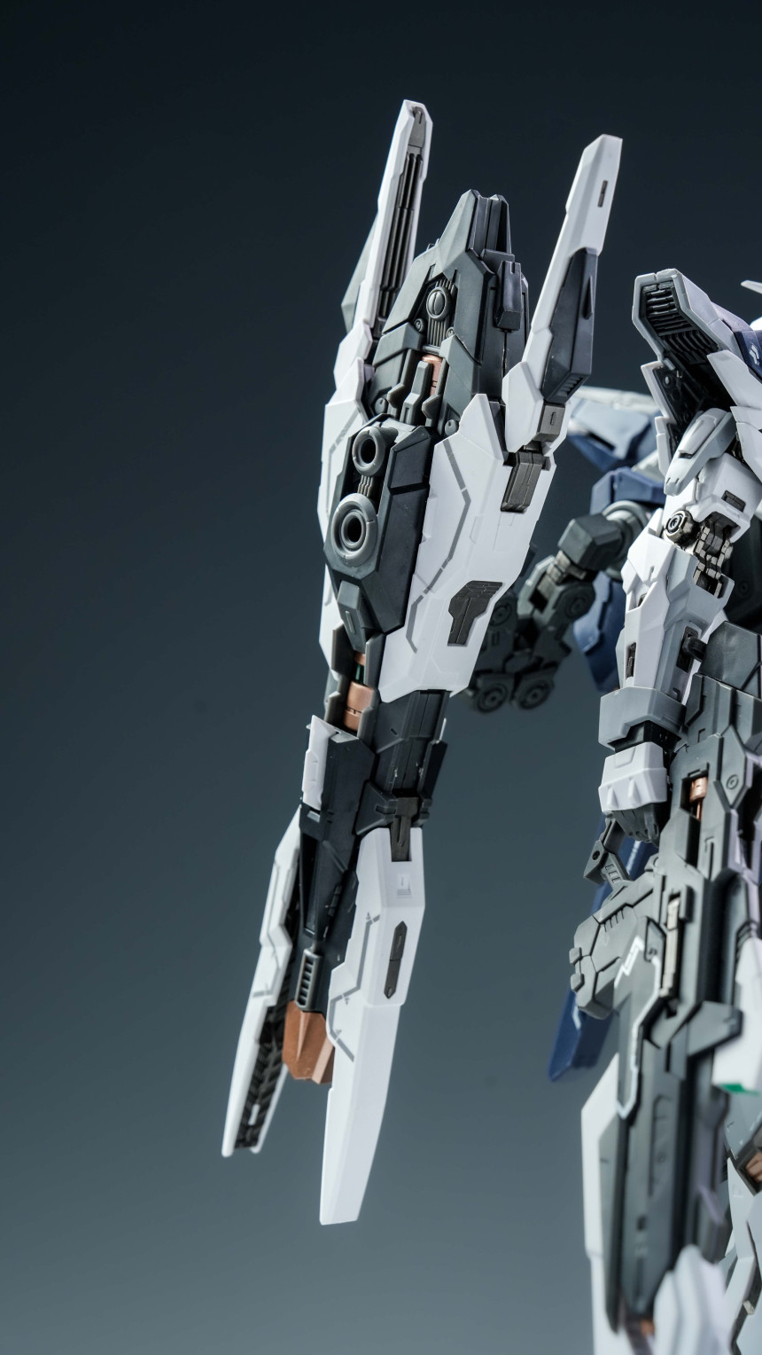 1/100 ��Ÿ ���ͳ� �뼺���� [11���԰��Ϸ�][6976438430044]