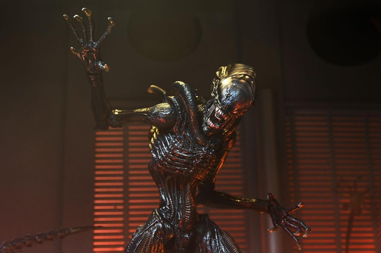 ���ϸ��� �ι��罺 - ����ġ�� ������� [3���԰��Ϸ�] [4580714145410]