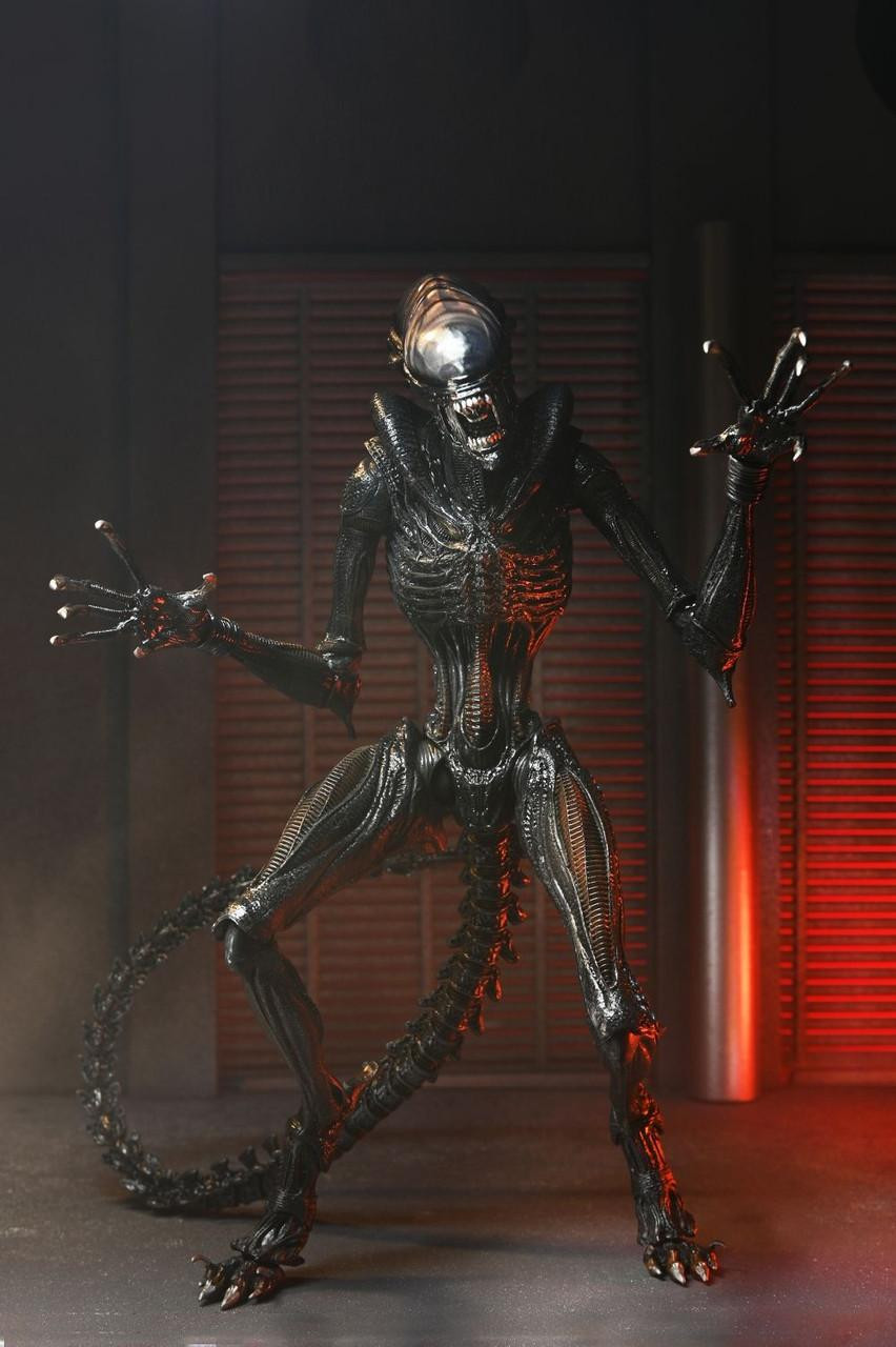 ���ϸ��� �ι��罺 - ����ġ�� ������� [3���԰��Ϸ�] [4580714145410]