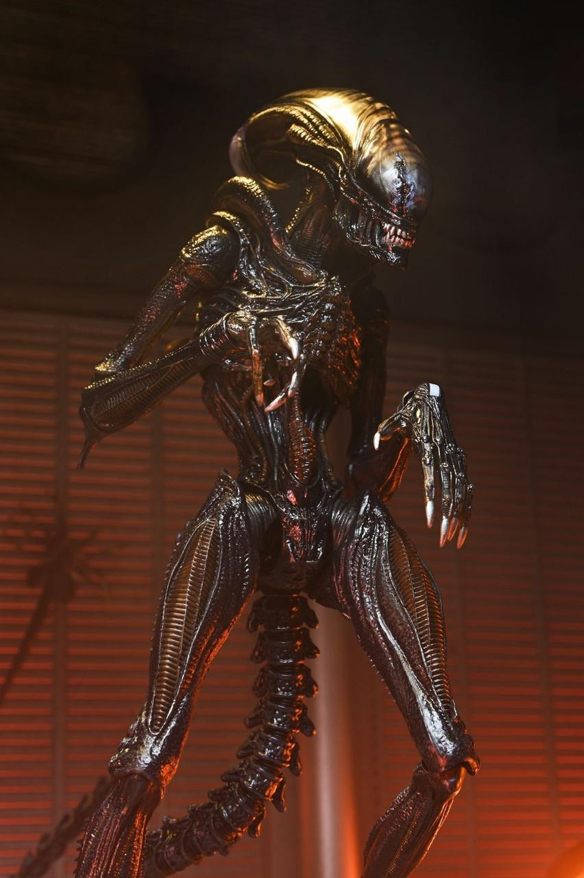 ���ϸ��� �ι��罺 - ����ġ�� ������� [3���԰��Ϸ�] [4580714145410]