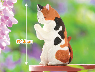 ���� ���� ���� 2ź(1�ڽ�10����) [3���԰��Ϸ�] [4570198779621]