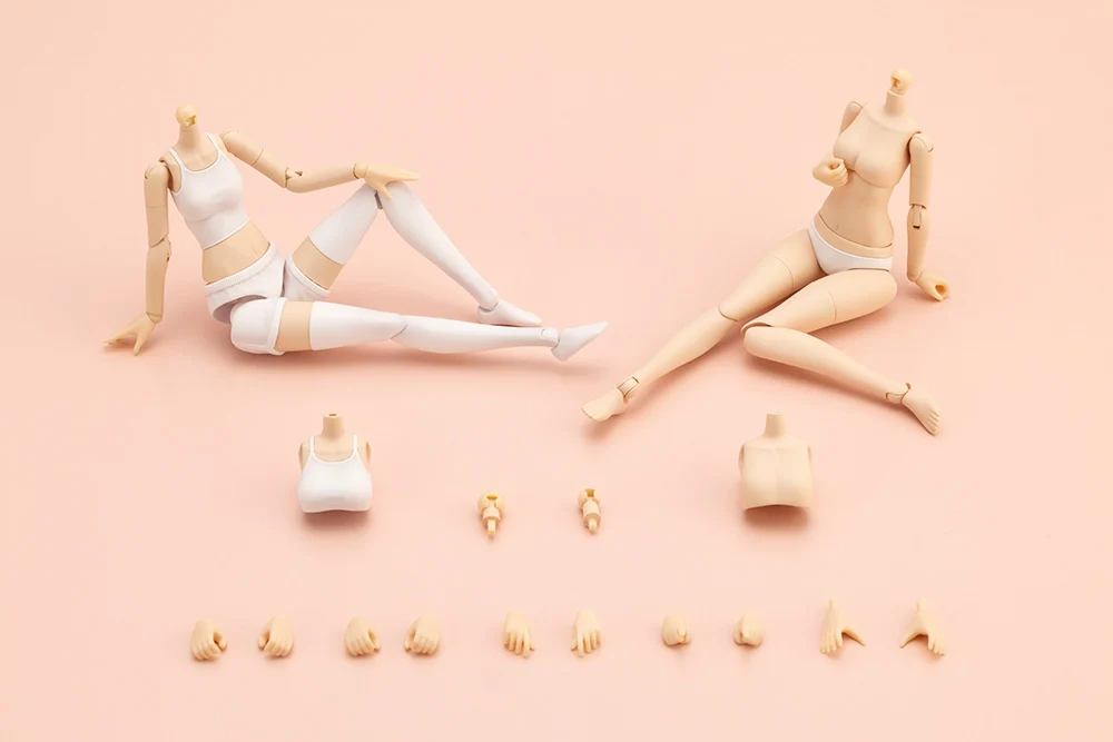 [âä�ҳ�����] �巹���� �ٵ�(S) [9���԰��Ϸ�][4934054030910]