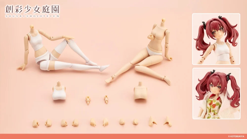 [âä�ҳ�����] �巹���� �ٵ�(S) [9���԰��Ϸ�][4934054030910]