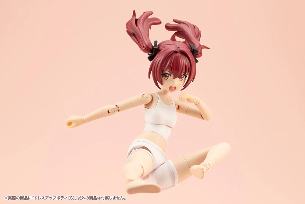 [âä�ҳ�����] �巹���� �ٵ�(S) [9���԰��Ϸ�][4934054030910]