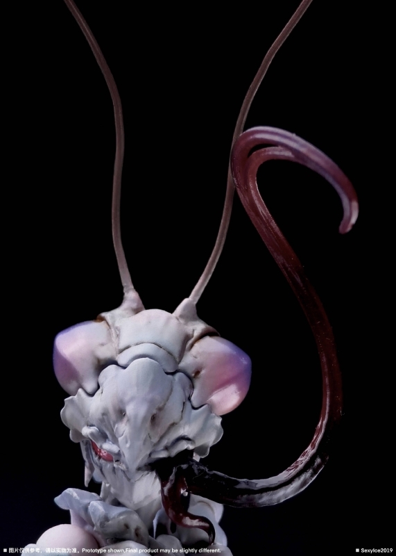 ���� �ø��� B0127 ��Ƽ�� ������ ������ ���� [4���԰��Ϸ�] [683203713665]