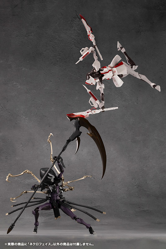 [��������] �ް��θ����� ��ũ�����̽� [8���԰��Ϸ�] [4934054062010]