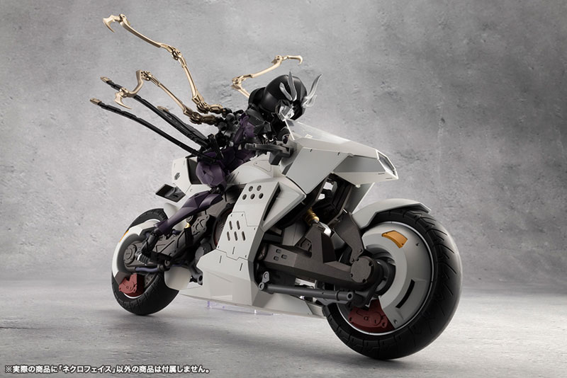 [��������] �ް��θ����� ��ũ�����̽� [8���԰��Ϸ�] [4934054062010]