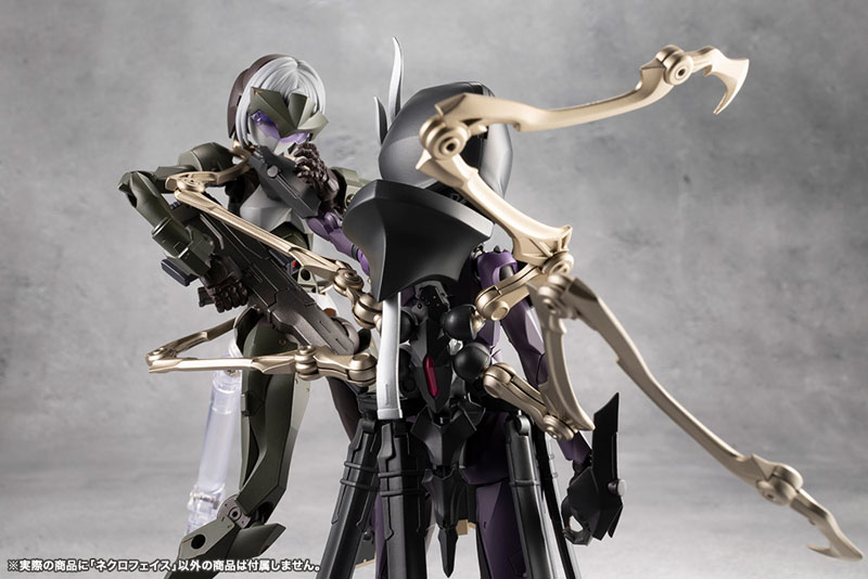 [��������] �ް��θ����� ��ũ�����̽� [8���԰��Ϸ�] [4934054062010]