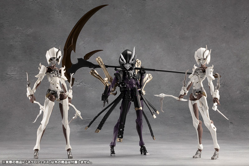 [��������] �ް��θ����� ��ũ�����̽� [8���԰��Ϸ�] [4934054062010]