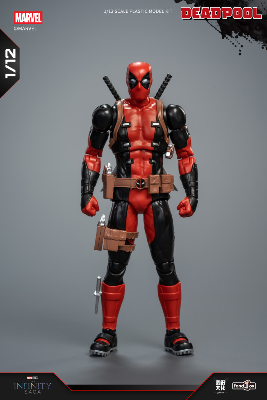 1/12 ���� ����Ǯ [12���԰��Ϸ�][6976248999632]