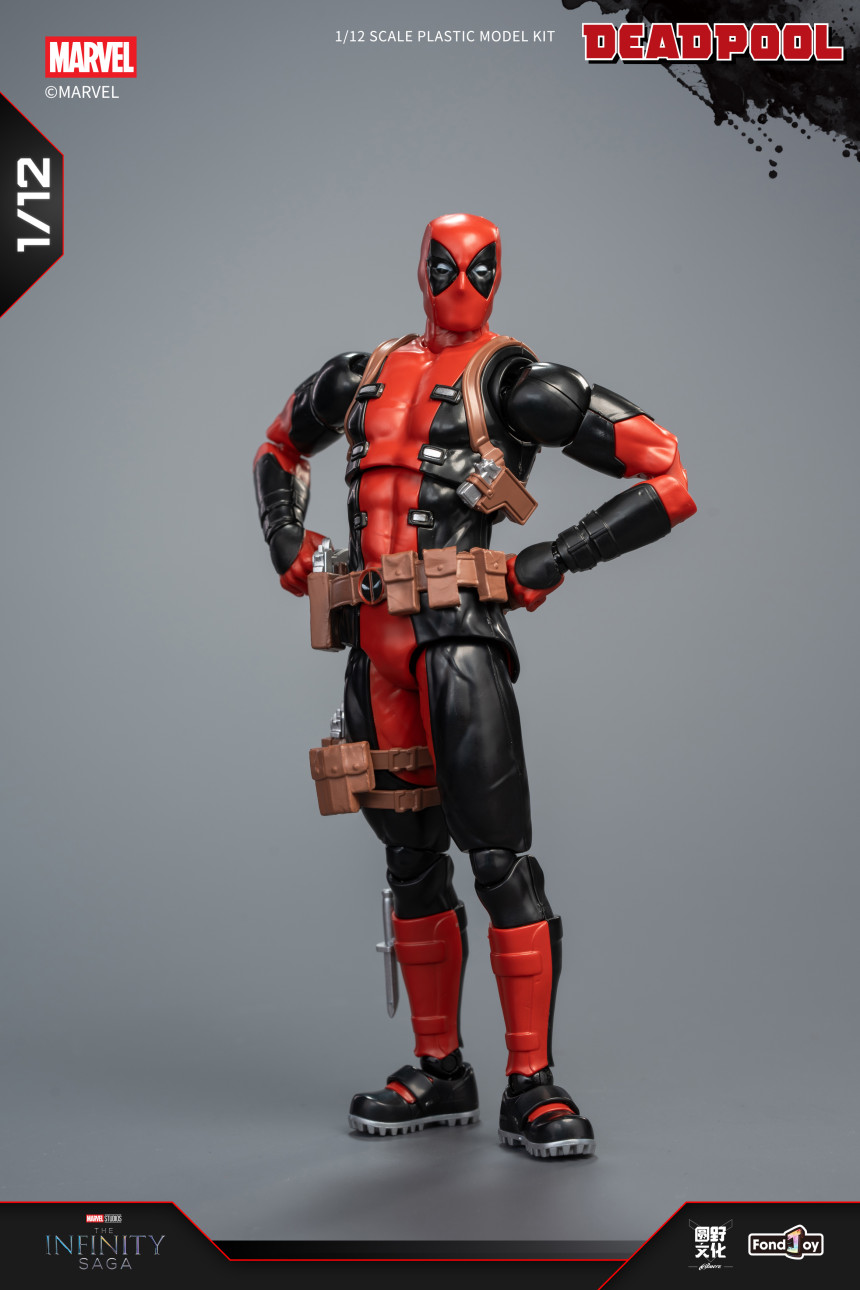 1/12 ���� ����Ǯ [12���԰��Ϸ�][6976248999632]