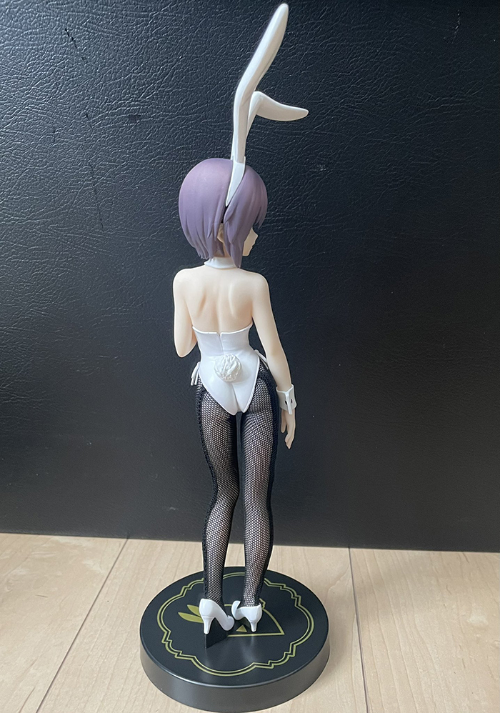 [��ǰ�ǱԾ�] ����̾� �Ϸ����� ��� Bicute �ٴ� �ǱԾ� ������ ��Ű [3���԰�����][4582702278940]