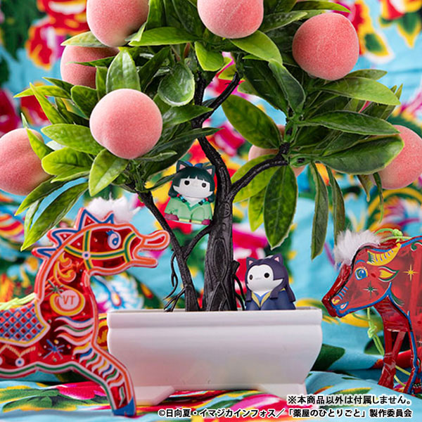  �ް� Ĺ ������Ʈ ����� ȥ�㸻 ���� Ĺ��(1�ڽ�8����) [4535123843914]