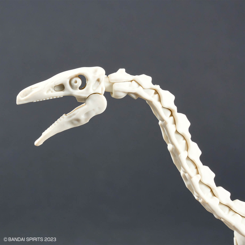 [�������罺][11] �׸�������罺 [4���԰��Ϸ�] [4573102683472]