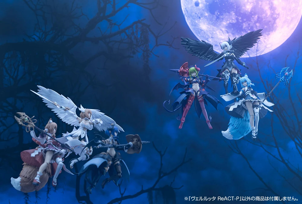 [�Ƹ�ī�����] ������ ����Ʈ-C [12���԰��Ϸ�] [4934054073801]