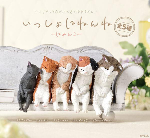 �Բ� �������� ����(1�ڽ�10����) [6���԰��Ϸ�] [4570198782300]