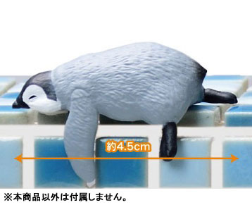 ��ġ�߽��� ���(1�ڽ�10����) [6���԰��Ϸ�] [4570198782867]