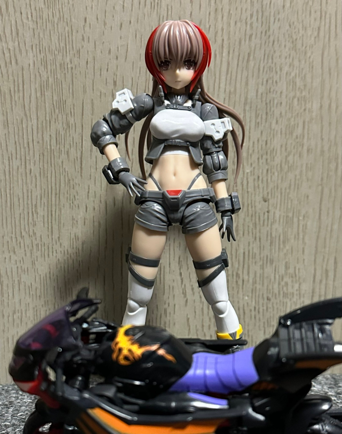 [�����Ӿ����] �������� [6���԰��Ϸ�] [4934054035328]