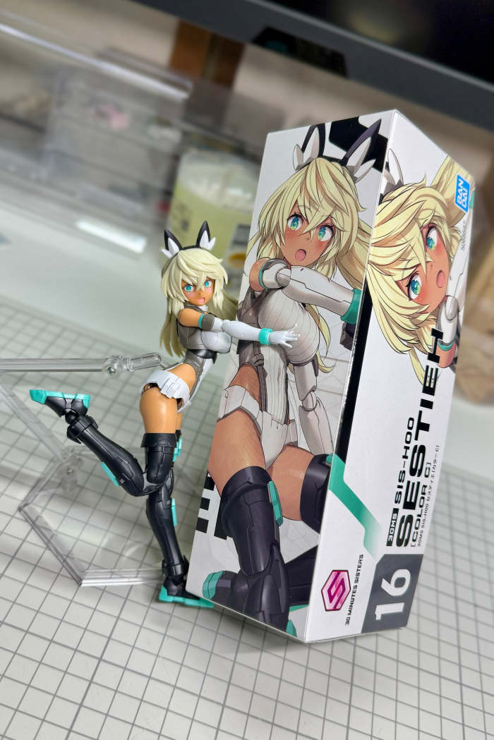 [30MS] SIS-H00 ����Ƽ�� �÷�C [4���԰�����] [4573102685629]