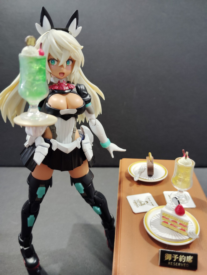 [30MS] SIS-H00 ����Ƽ�� �÷�C [4���԰�����] [4573102685629]