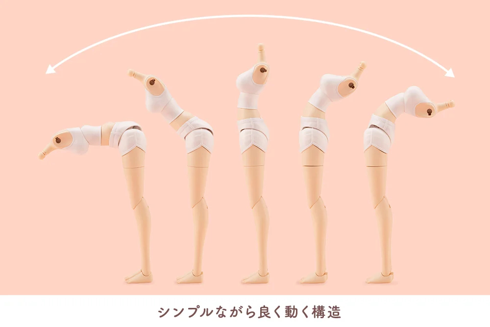 [âä�ҳ�����] �巹���� �ٵ�(L) [2���԰��Ϸ�] [4934054031894]