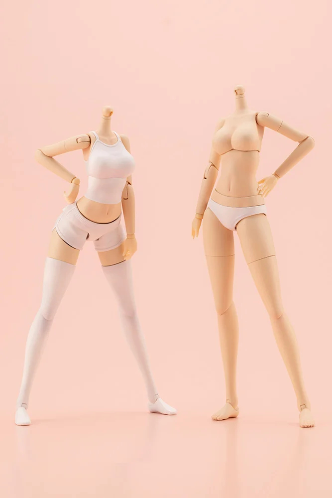 [âä�ҳ�����] �巹���� �ٵ�(L) [2���԰��Ϸ�] [4934054031894]