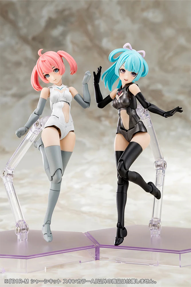 [�ް��̵���̽�] B1R-M ���� ŰƮ ��Ų �÷�B [1���԰��Ϸ�] [4934054076734]