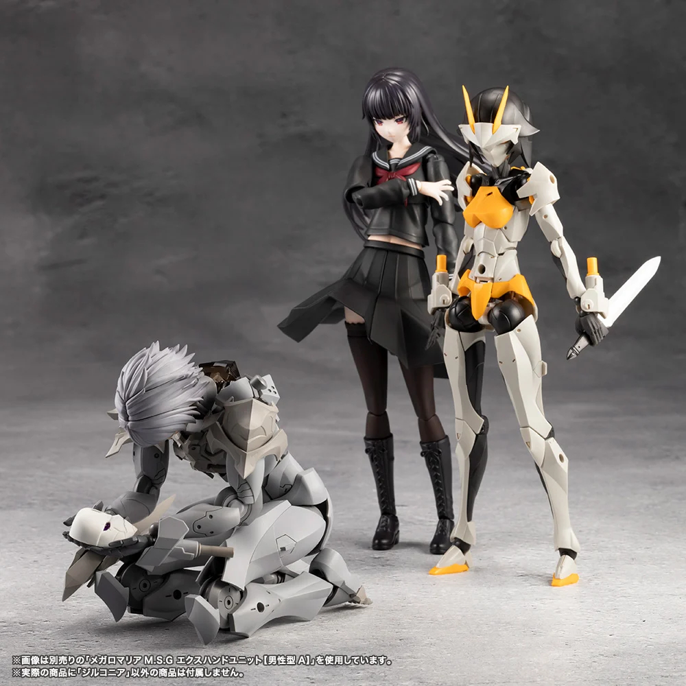 [��������] �ް��θ����� �����ڴϾ� [2���԰��Ϸ�] [4934054062034]