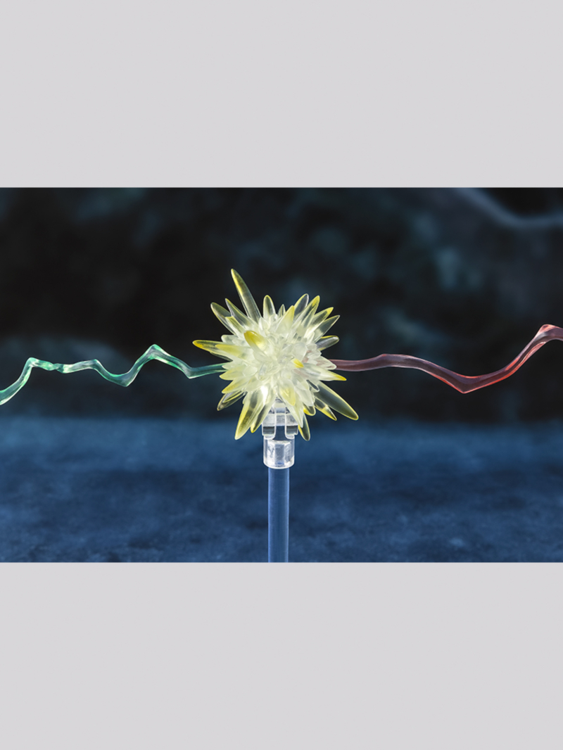 [S.H.Figuarts] �ظ����Ϳ� ���� �� - �ظ� ���� [1���԰��Ϸ�] [4573102686268]