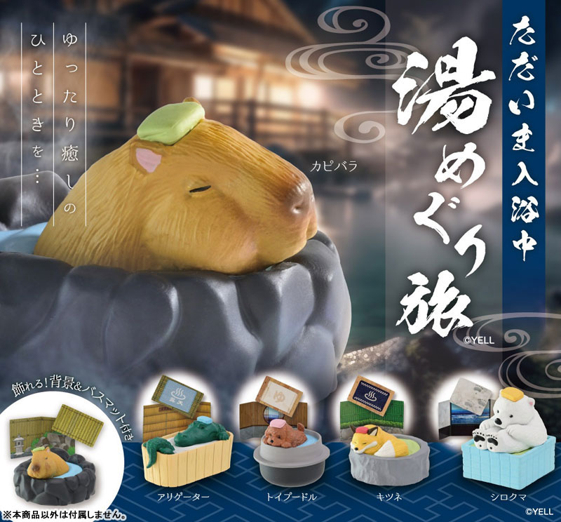 ���� �Կ����Դϴ� ����ȸ����(1�ڽ�10����) [7���԰��Ϸ�] [4570198782843]