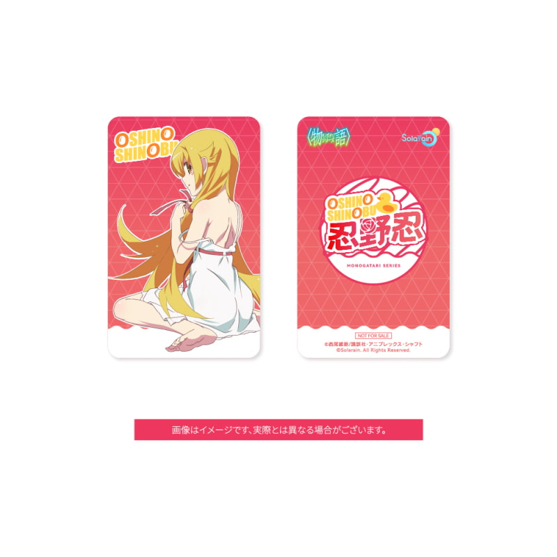  [Ư������] 1/7 ��밡Ÿ�� �ø��� - ���ó� �ó�� [6974703190891]