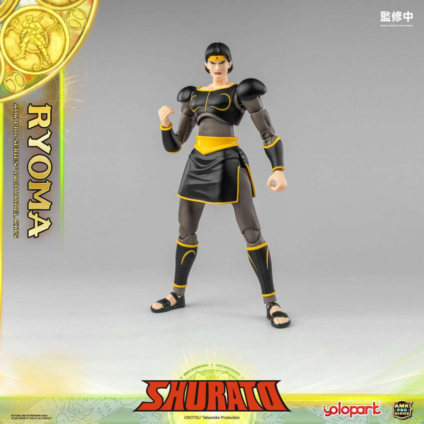  AMK PRO X õ������ ������ - ��� �Ḷ [9���԰��Ϸ�][4897131753631]