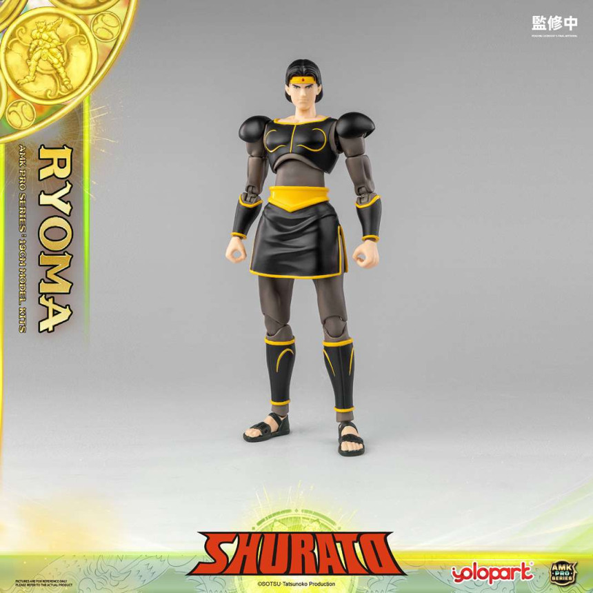  AMK PRO X õ������ ������ - ��� �Ḷ [9���԰��Ϸ�][4897131753631]